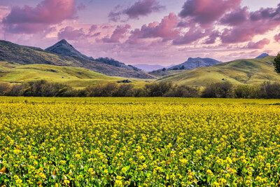 Click here to view at full resolution.