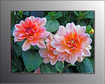 Click here to view at full resolution.