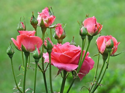 Click here to view at full resolution.