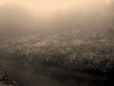 Click here to view at full resolution.