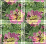 A Pane In The Lantana by Flmngseabass, photography->manipulation gallery