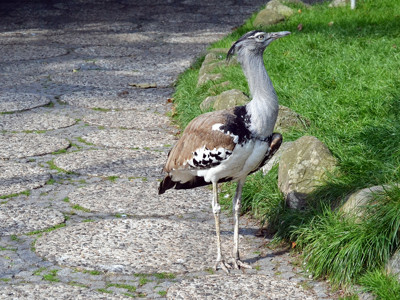 Click here to view at full resolution.