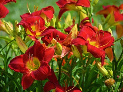 Click here to view at full resolution.