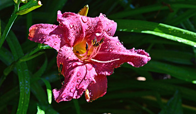 Click here to view at full resolution.