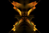 Xtreme Measures by Flmngseabass, abstract->fractal gallery