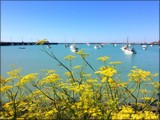 Harbourside View by LynEve, photography->shorelines gallery