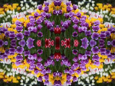 Click here to view at full resolution.