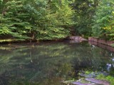 Secluded by Asrai, Photography->Water gallery