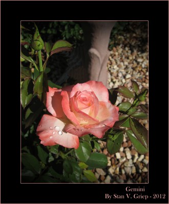 Click here to view at full resolution.