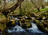 The Babbling Brook by biffobear, photography->water gallery