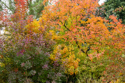 Click here to view at full resolution.