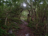 Arch of nature by johindes, Photography->Landscape gallery