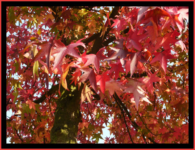 Click here to view at full resolution.