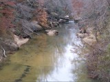 Sipsey River 4 by bfrank, Photography->Landscape gallery