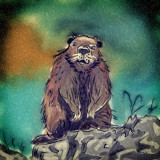 Groundhog by bfrank, illustrations gallery