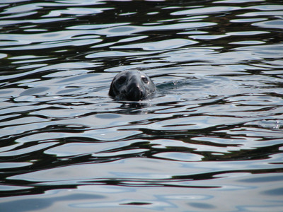 Click here to view at full resolution.