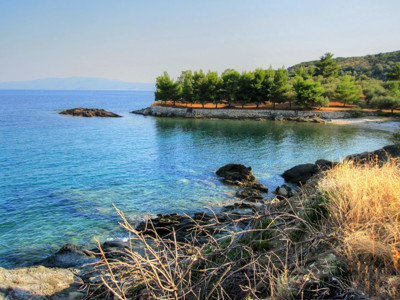 Click here to view at full resolution.