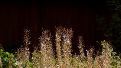 Click here to view at full resolution.
