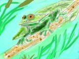 Froggy Over The Pond by bfrank, Illustrations->Traditional gallery