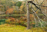 Chicot State Park East Inlet by PatAndre, Photography->Shorelines gallery