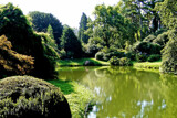 Stillness by Ramad, photography->gardens gallery