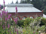 Near / Far by Logit, Photography->Gardens gallery