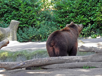 Click here to view at full resolution.