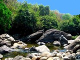 Hilltop stream-8 by sahadk, photography->landscape gallery