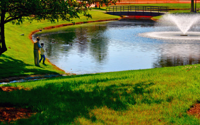 Click here to view at full resolution.