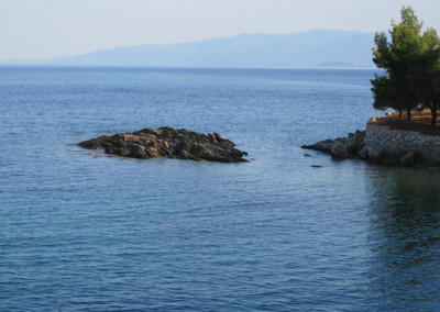 Click here to view at full resolution.