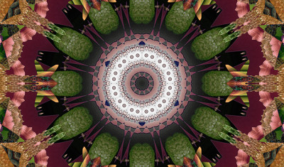 Click here to view at full resolution.