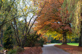 Along the Path by Ramad, photography->nature gallery