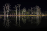 Pond Mirror by Mvillian, photography->landscape gallery