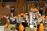 Farmstand Display by trixxie17, photography->still life gallery