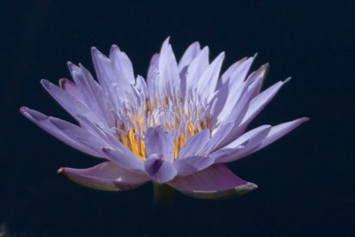 Click here to view at full resolution.