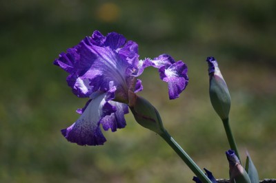 Click here to view at full resolution.