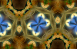 Trapping Blue by Flmngseabass, abstract gallery