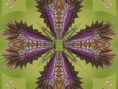 Click here to view at full resolution.