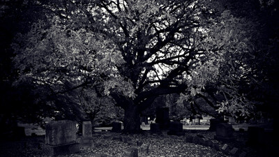 Click here to view at full resolution.