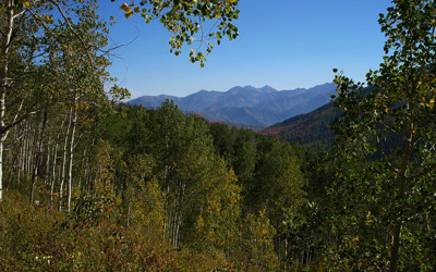 Click here to view at full resolution.