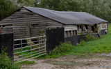 Animal outhouse by gonedigital, Photography->Architecture gallery