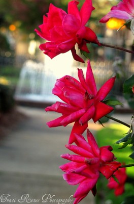 Click here to view at full resolution.