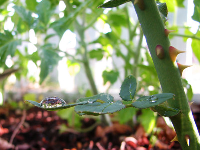 Click here to view at full resolution.