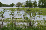 "Flooding Mississippi River 1" by icedancer, photography->nature gallery