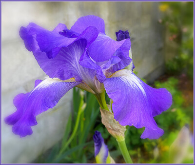 Click here to view at full resolution.