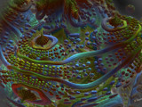 Fantasyland by Joanie, abstract->fractal gallery