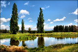 Peaceful Pond by LynEve, photography->landscape gallery