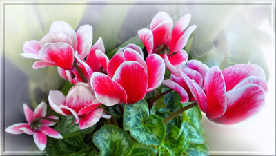 Click here to view at full resolution.