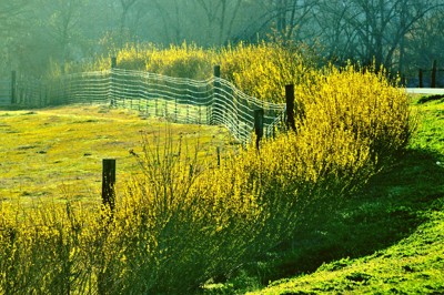 Click here to view at full resolution.