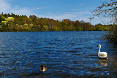 Click here to view at full resolution.